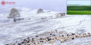 Thảo nguyên ulan butong trung quốc 