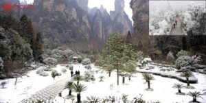 Trương Gia Giới Trung Quốc