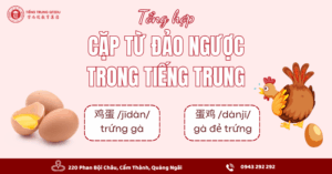 Tổng hợp các cặp từ đảo ngược trong tiếng trung dễ nhầm