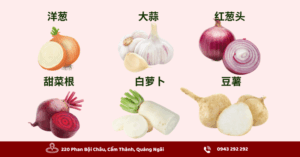 Từ vựng tiếng Trung về các loại củ