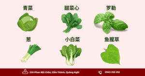 Từ vựng tiếng Trung về các loại rau